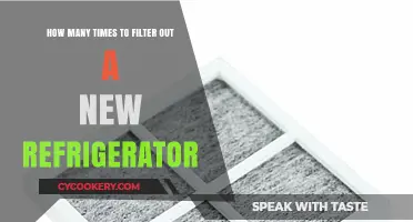 Filtering Your New Refrigerator: Optimal Times for Clean, Fresh Air