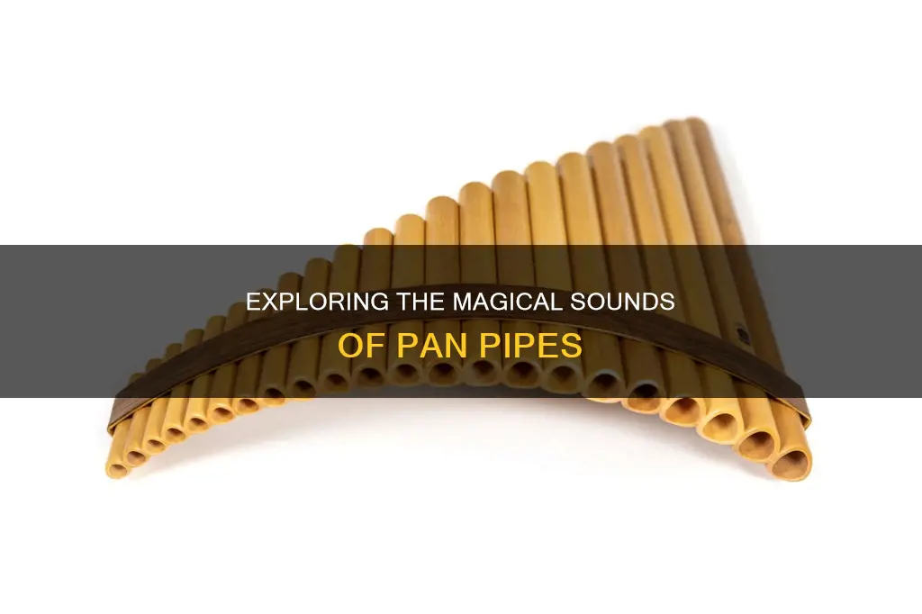 how many tubes in a pan pipe