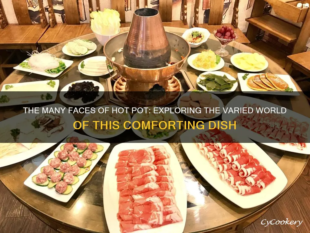 how many types of hot pot