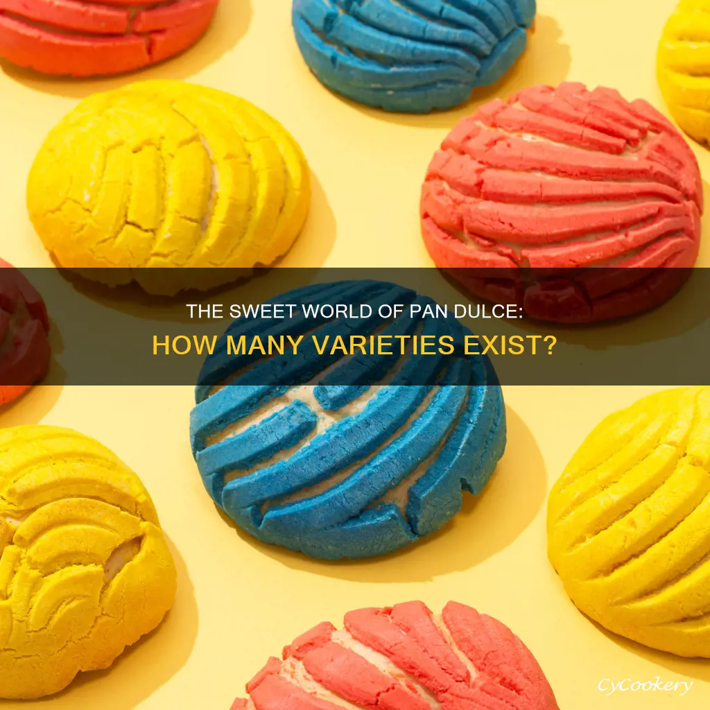 how many types of pan dulce