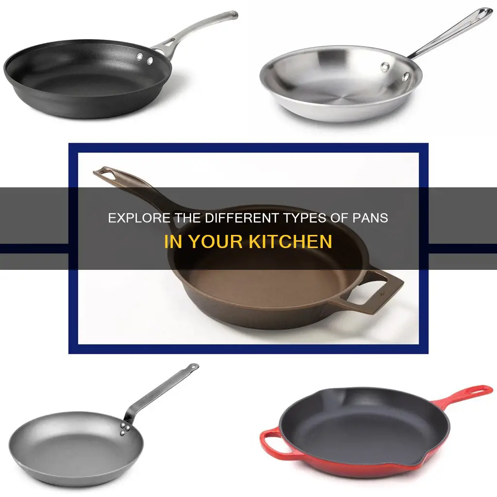how many types of pan