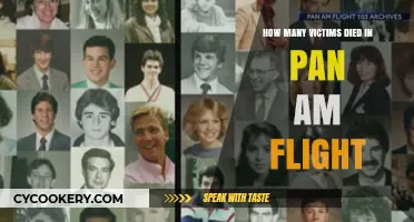 Tragic Pan Am Flight: Death Toll and Remembrance