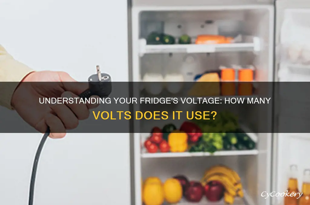 how many volts does my refrigerator use