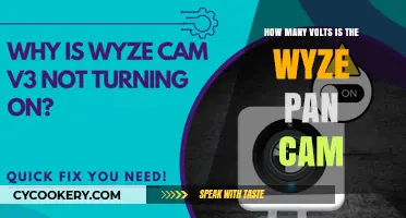 Volts and the Wyze Pan Cam: What's the Voltage?