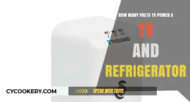 Powering Home Essentials: Understanding Voltage Needs for TVs and Fridges