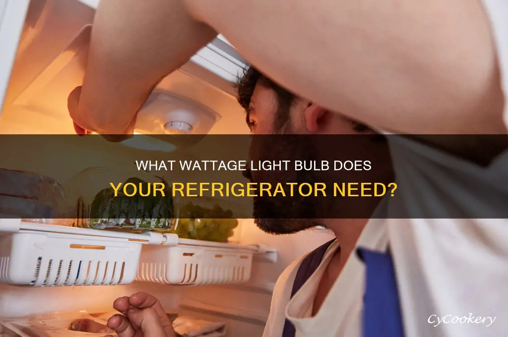 how many watts is a refrigerator light bulb