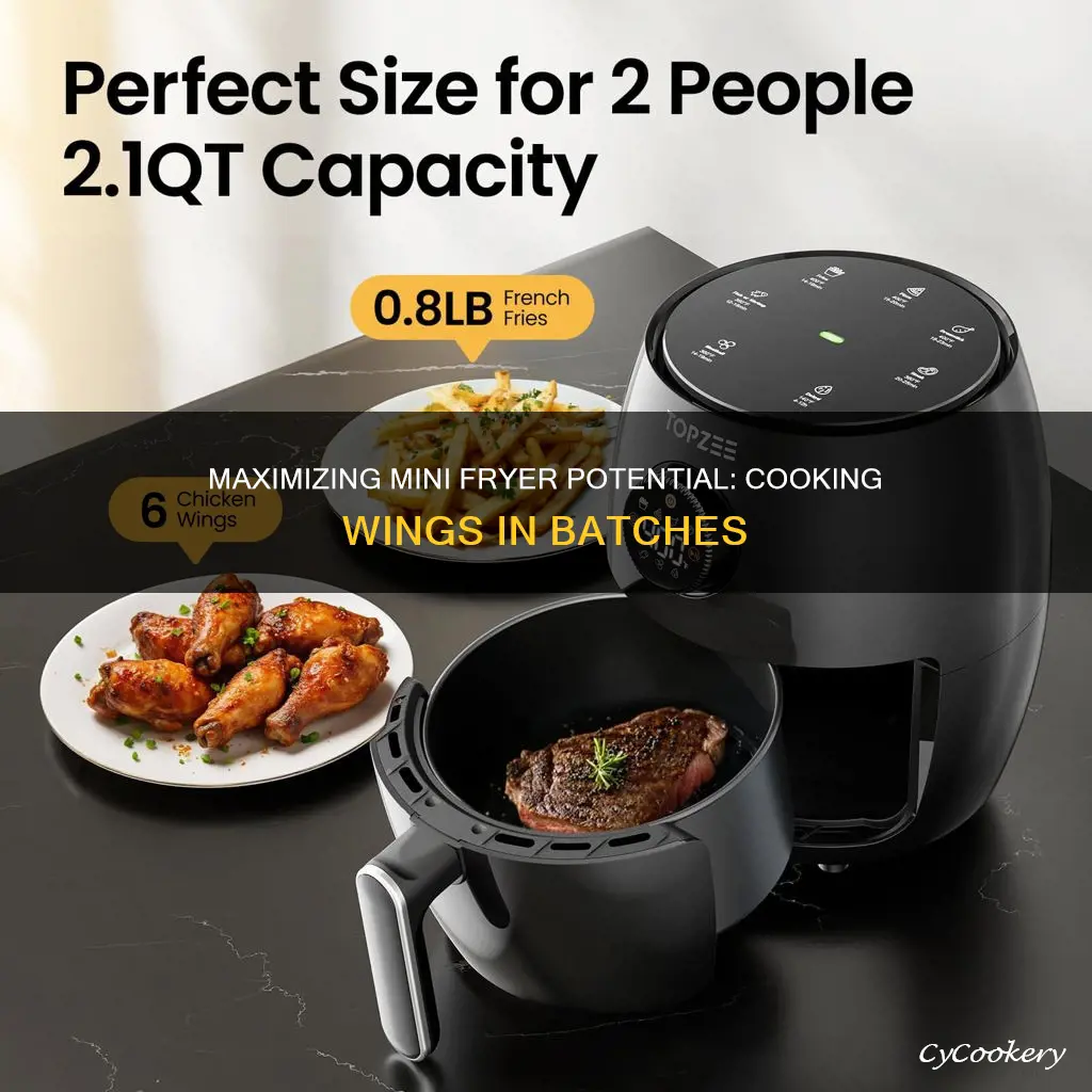 how many wings can i cook in a mini fryer