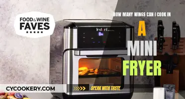 Cooking Wings in a Mini Fryer: How Many?
