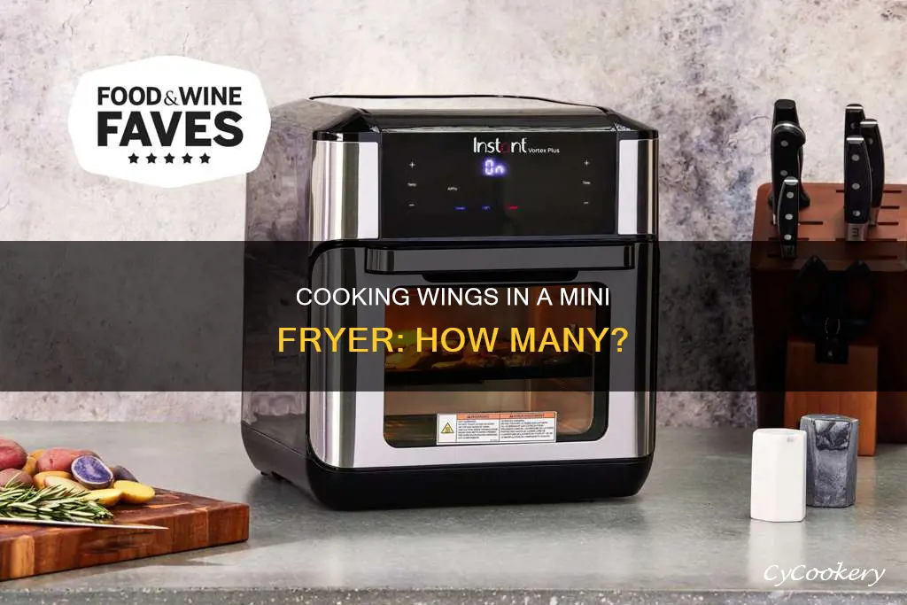 how many wings can i cook in a mini fryer