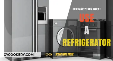 Maximizing Your Fridge's Lifespan: Years of Reliable Cooling Ahead