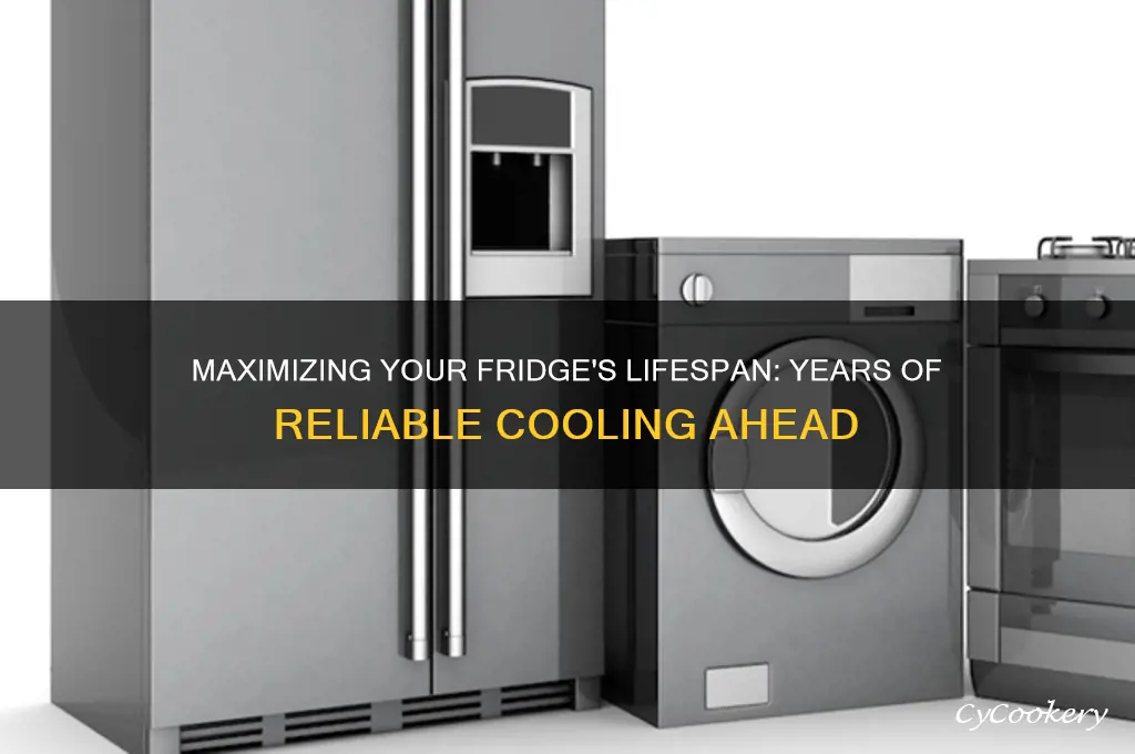 how many years can we use a refrigerator
