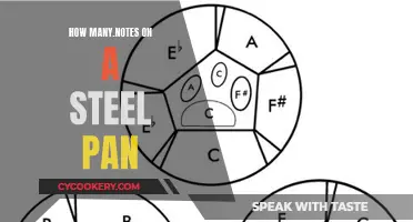 Steel Pan's Musical Notes