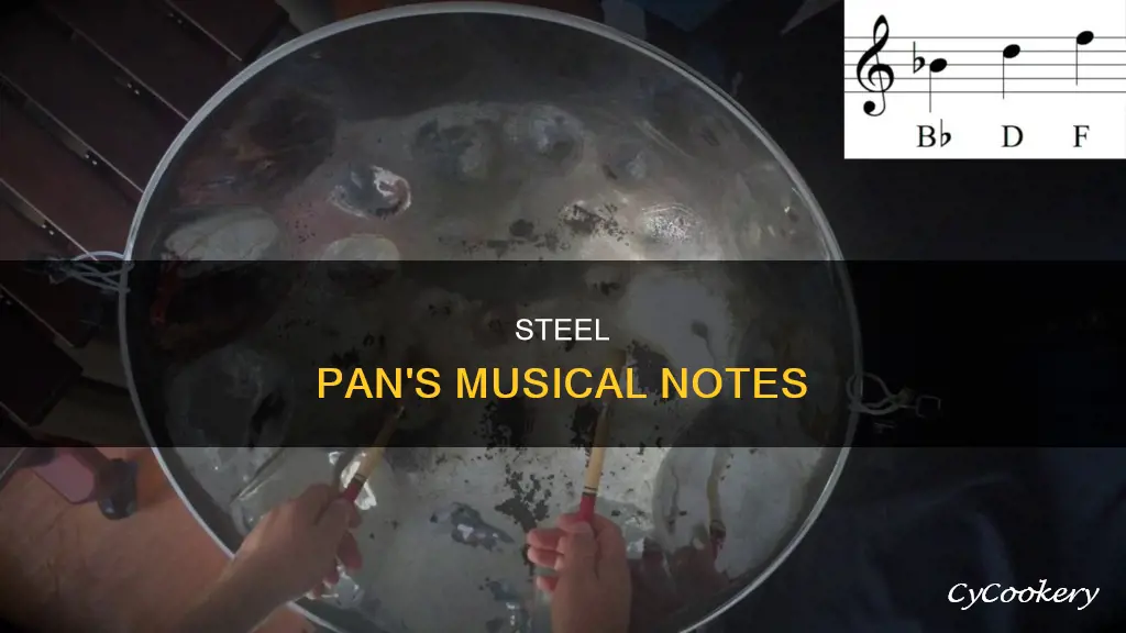 how many.notes on a steel pan