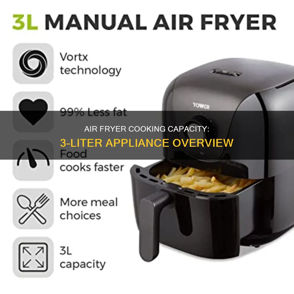 how mcuh food does a 3 liter air fryer cook
