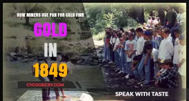 Panning for Gold: 1849 Miners' Techniques to Strike It Rich