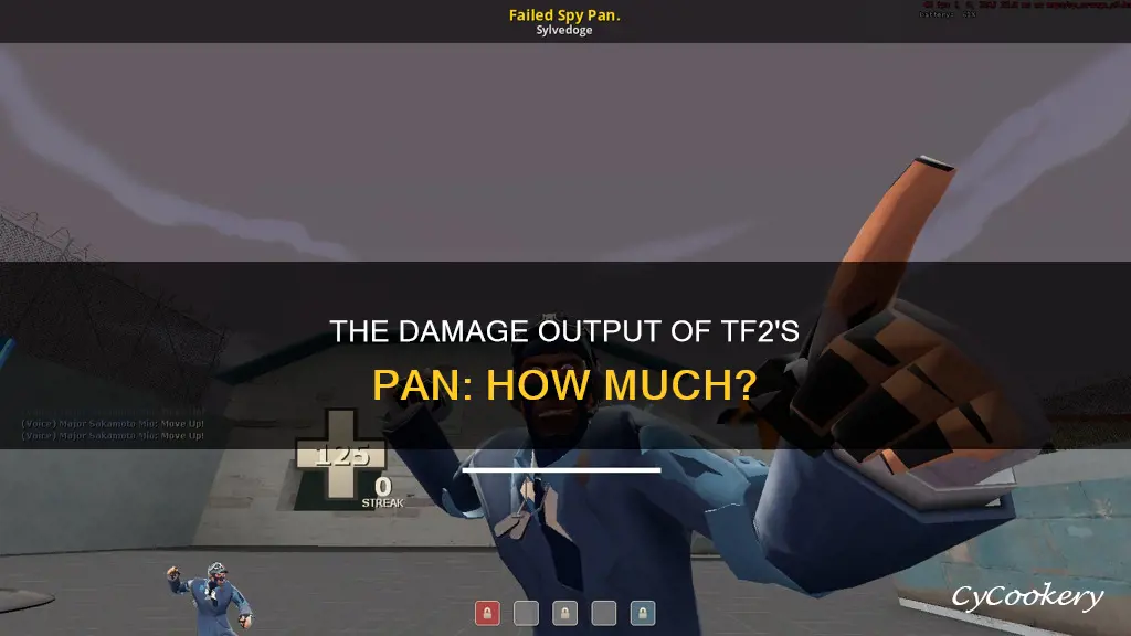 how mluch damage does the pan do in tf2