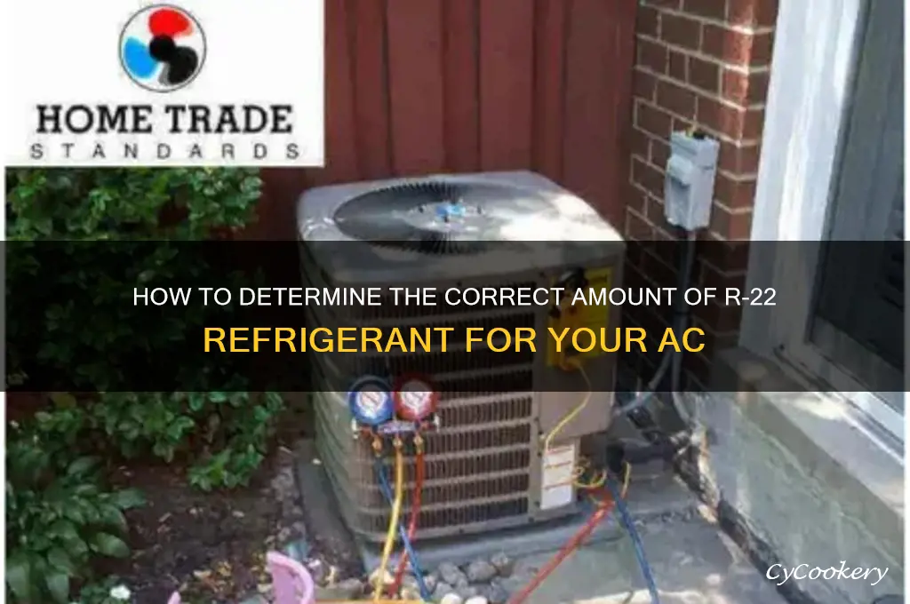 how much a c refrigerant should i put in