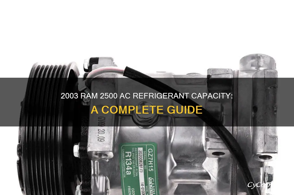 how much ac refrigerant 2003 ram 2500