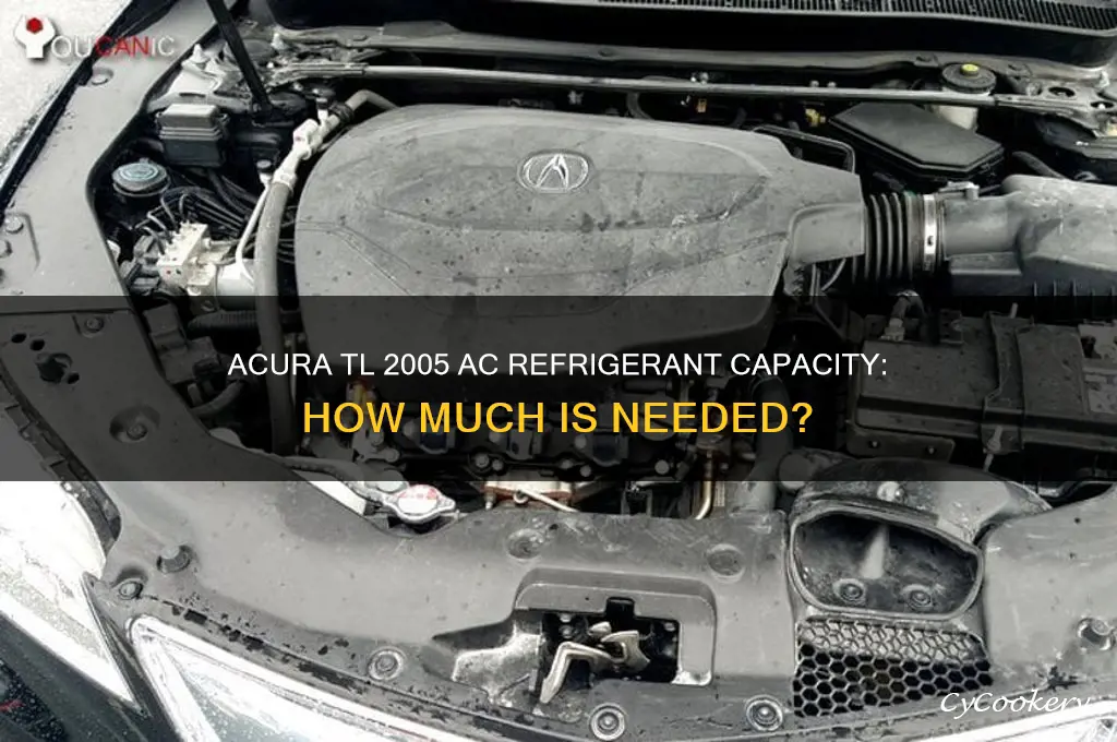 how much ac refrigerant does 05 acura tl take