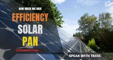 High-Efficiency Solar Panels: Cost-Effective Power Sources