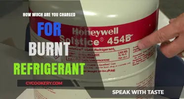 Burnt Refrigerant Costs: Understanding Hidden Charges and Repair Expenses