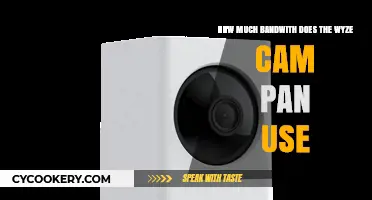 Wyze Cam Pan Bandwidth Usage: What You Need to Know