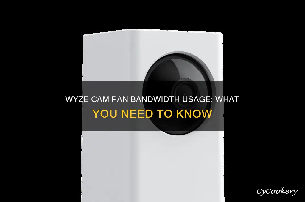 how much bandwith does the wyze cam pan use