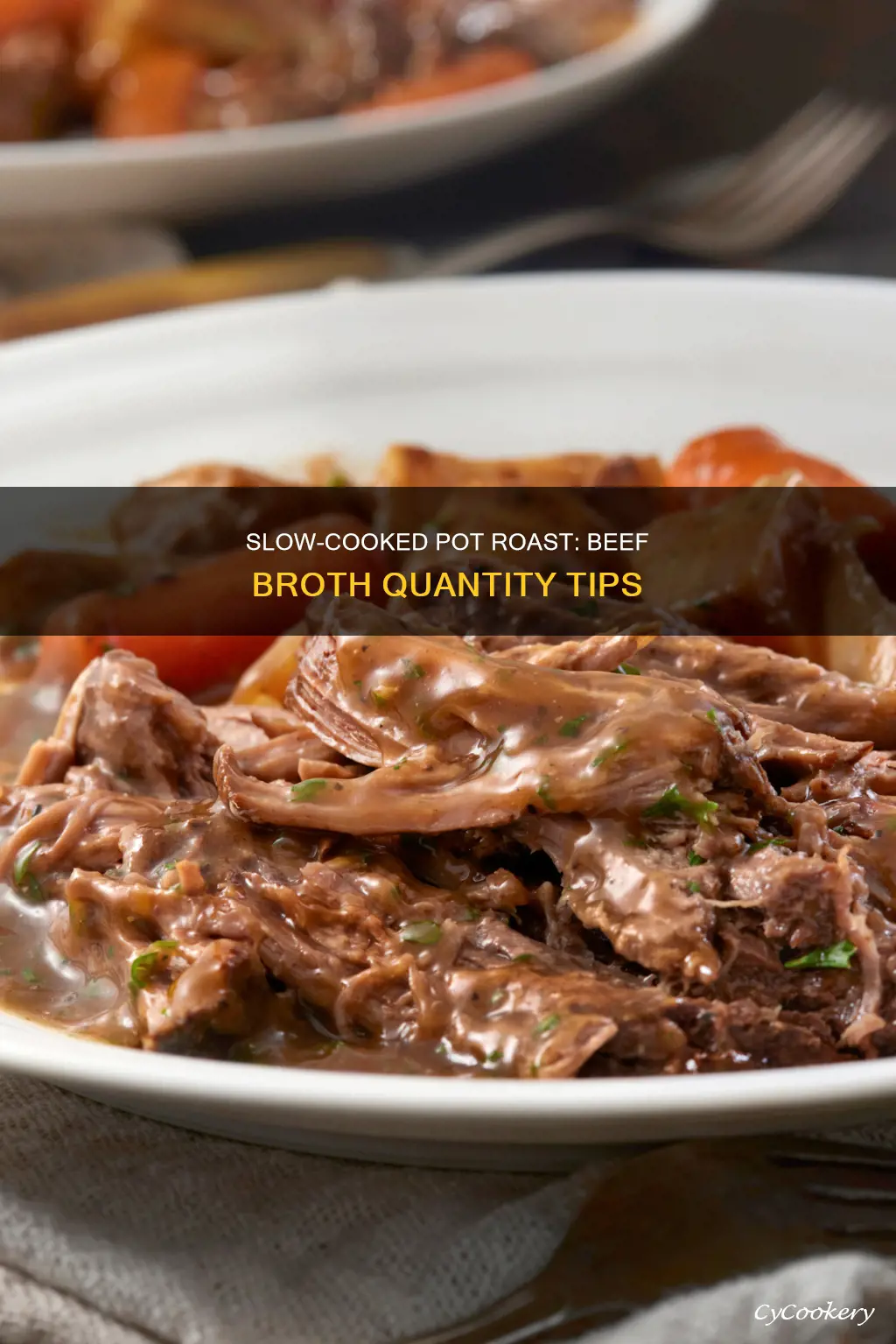 how much beef broth for pot roast in slow cooker