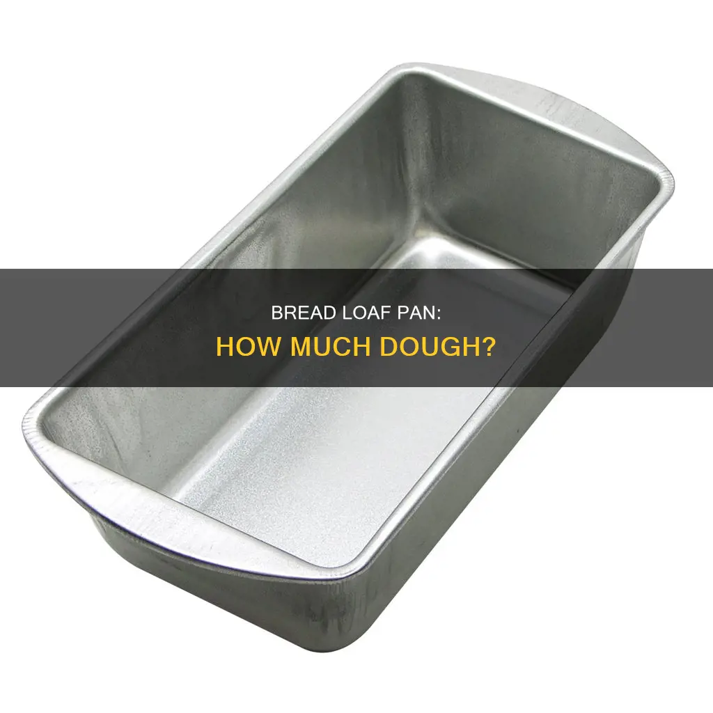 how much bread dough for a loaf pan