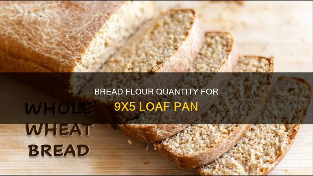 how much bread flour for 9x5 loaf pan