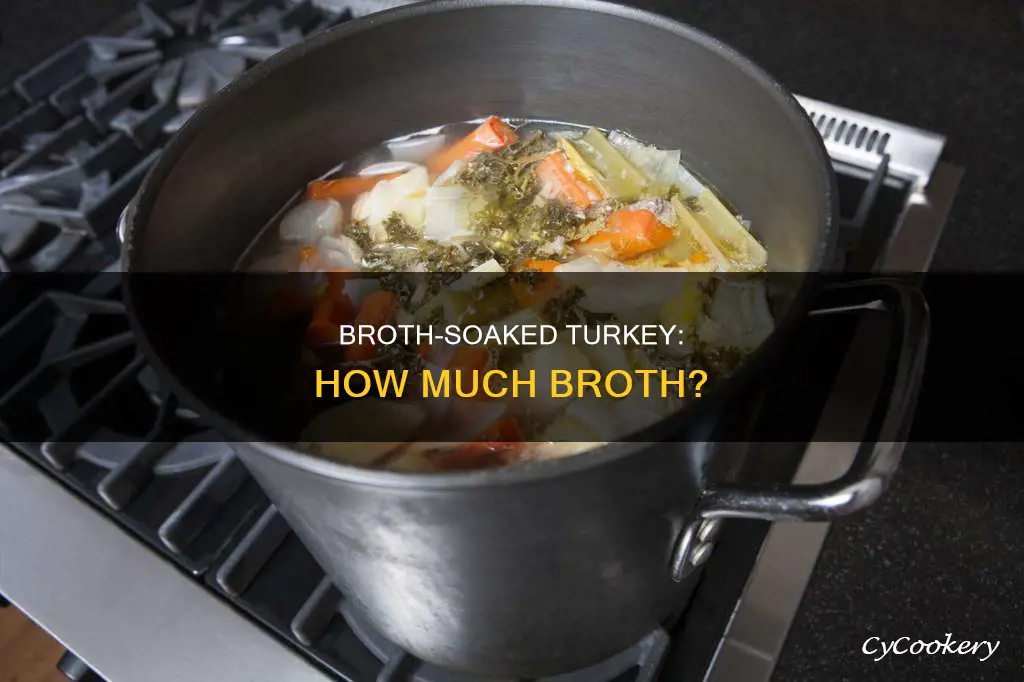 how much broth to put in pan with turkey