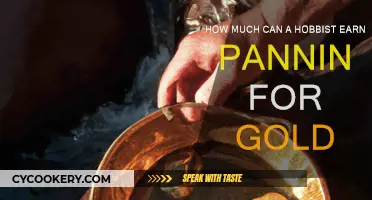 Gold Panning: A Fun Hobby That Can Make You Rich