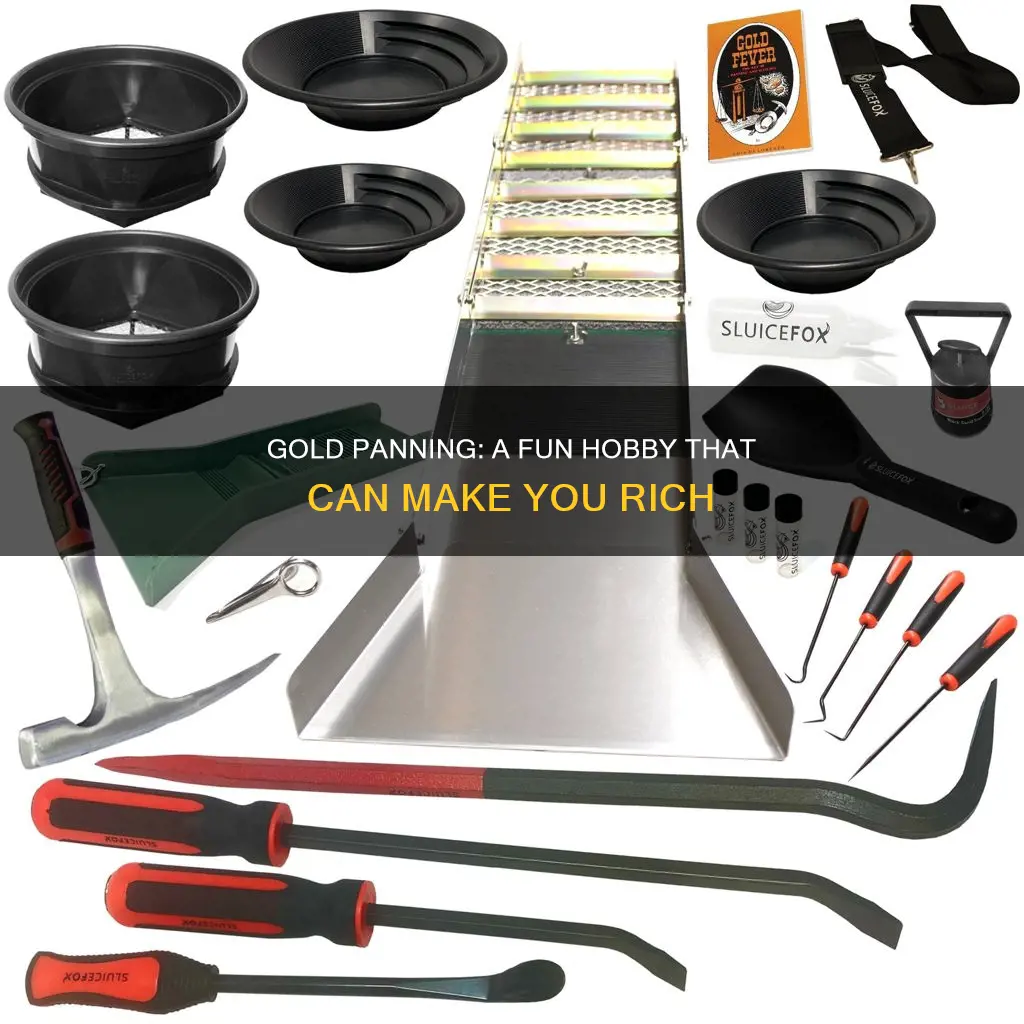 how much can a hobbist earn panning for gold