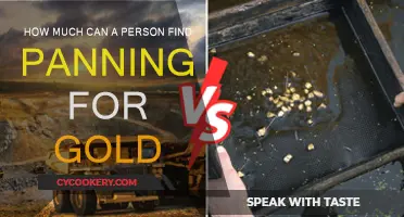 Gold Panning: A Fortune in the Making?