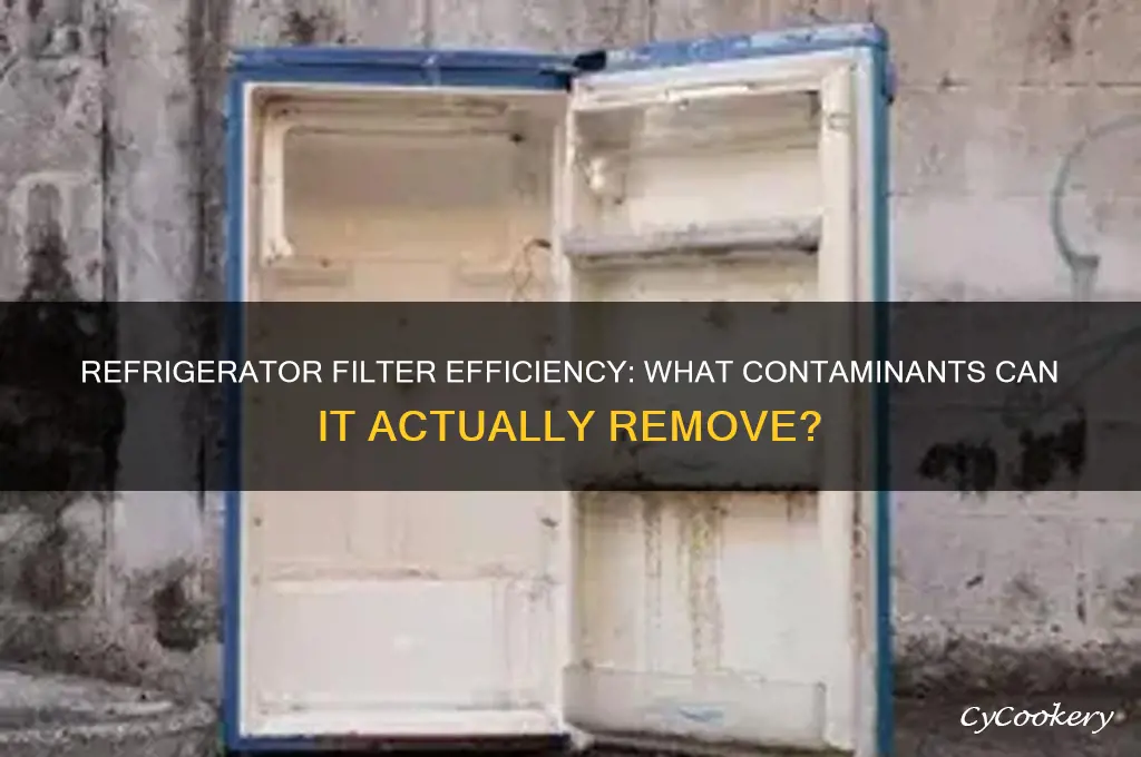 how much can a refrigerator filter filter