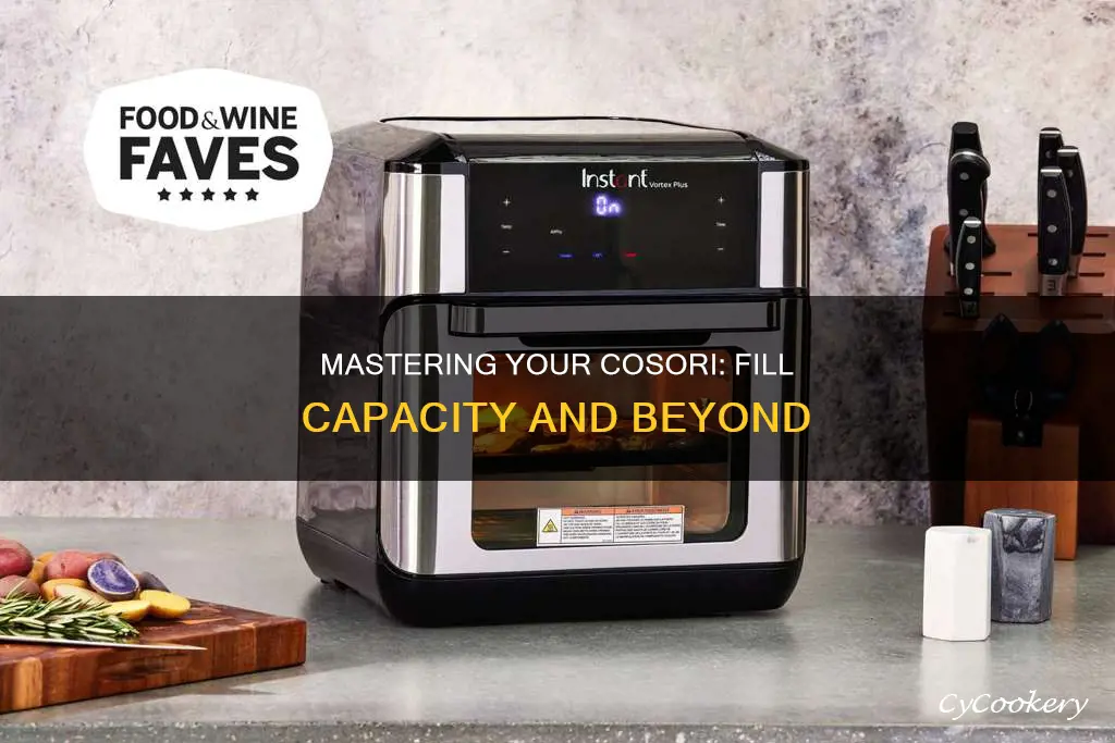 how much can i fill my cosori air fryer