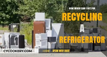 Maximize Your Earnings: Recycling Your Old Refrigerator for Cash
