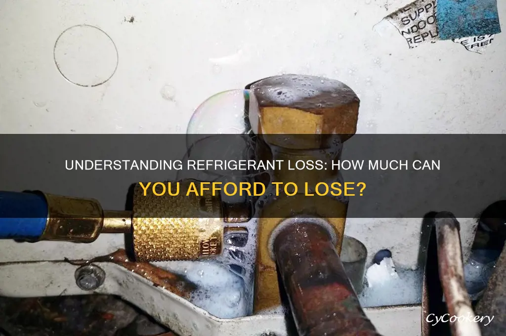 how much can refrigerant can you lose