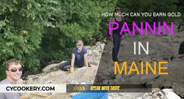 Gold Panning in Maine: How Lucrative Is It?