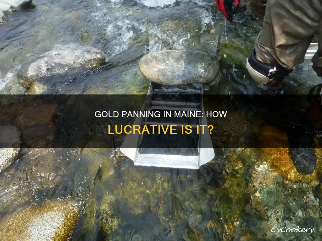 how much can you earn gold panning in Maine