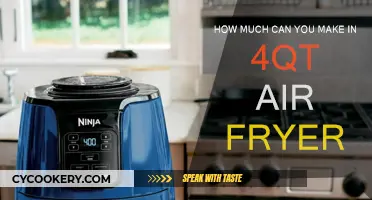 Air Fryer Cooking: Making Money by Frying