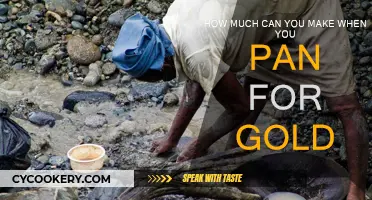 Gold Panning: A Profitable Adventure?