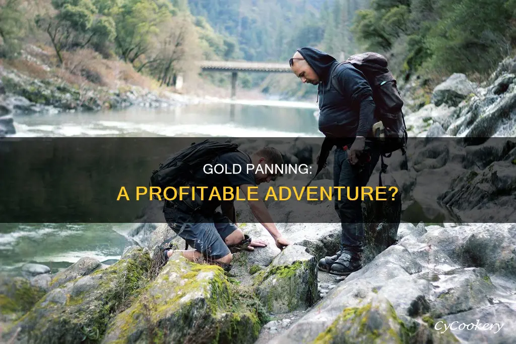 how much can you make when you pan for gold