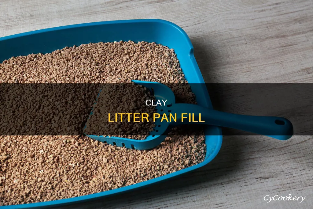 how much clay litter in pan