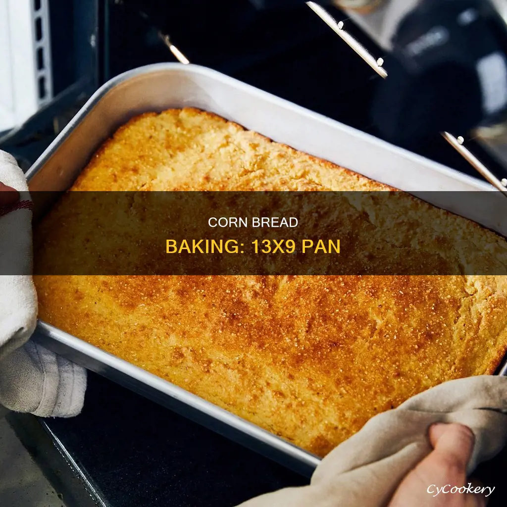 how much corn bread for 13x9 pan