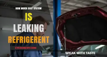 Refrigerant Leaks: How Much Is Your System Costing You?