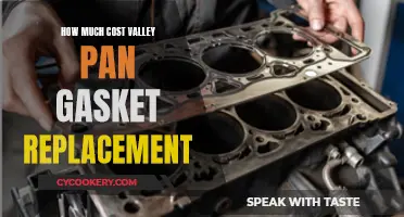 Valley Pan Gasket Replacement: Costly Repair