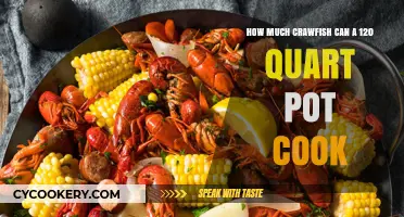 Big Batch Crawfish Cooking: 120-Quart Pot Edition
