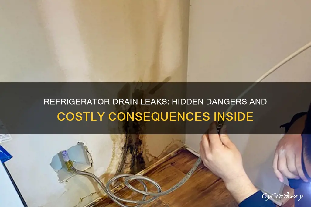 how much damage can a refrigerator drain leaking inside cause