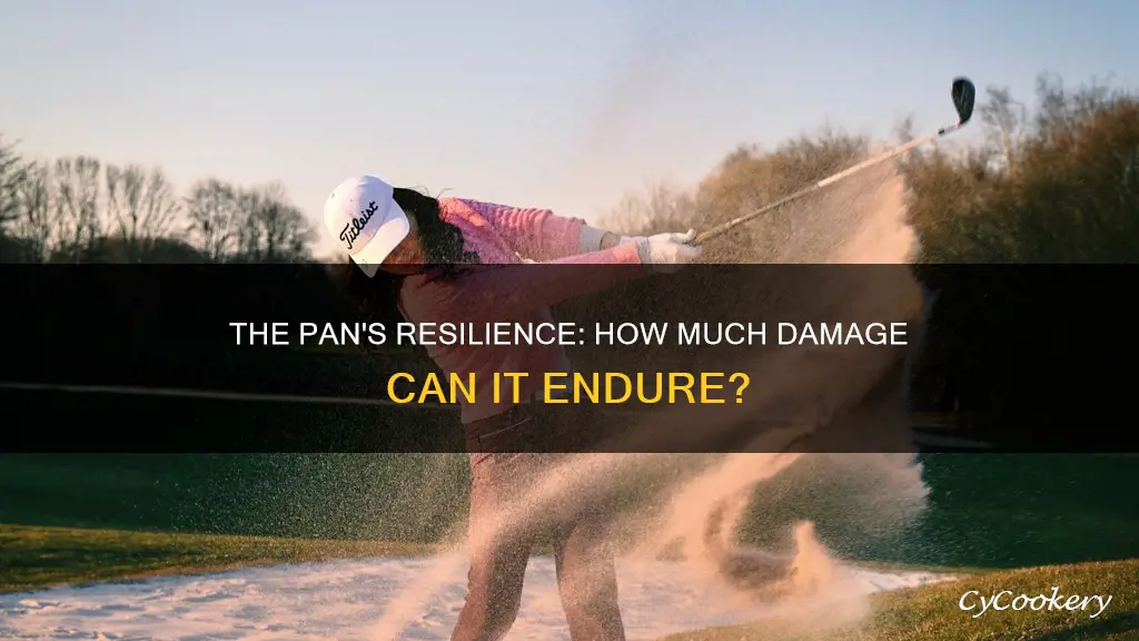 how much damage can the pan take